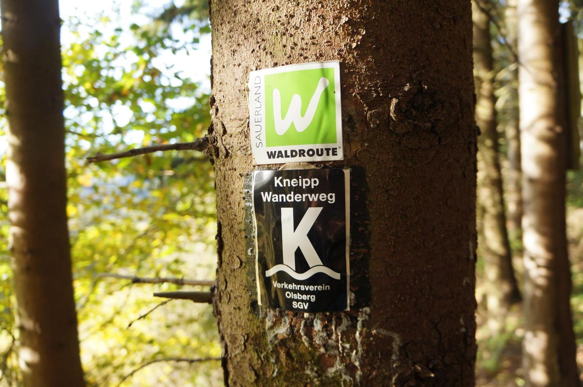 Waldhotel Schinkenwirt Olsberg Exterior foto